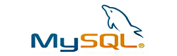 下载本软件MySQL数据库结构